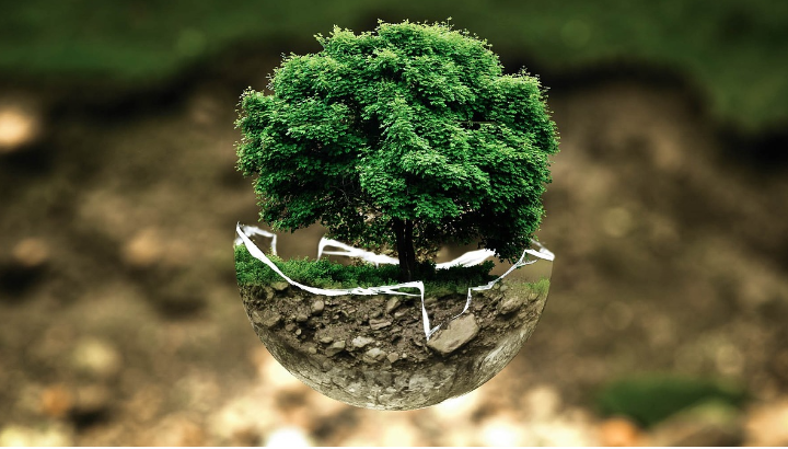 浙江美仪智能传感技术有限公司公示文件